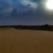 Jodhpur Desert