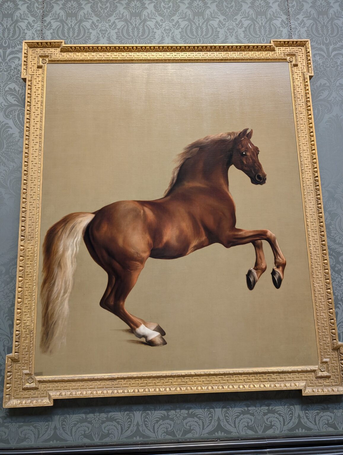 PXL_20250921_131511138