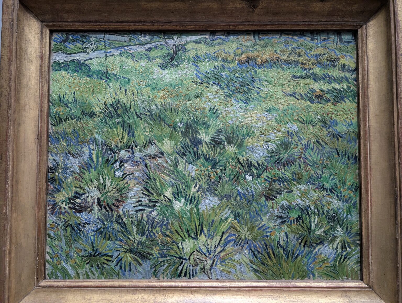 PXL_20250921_132518009