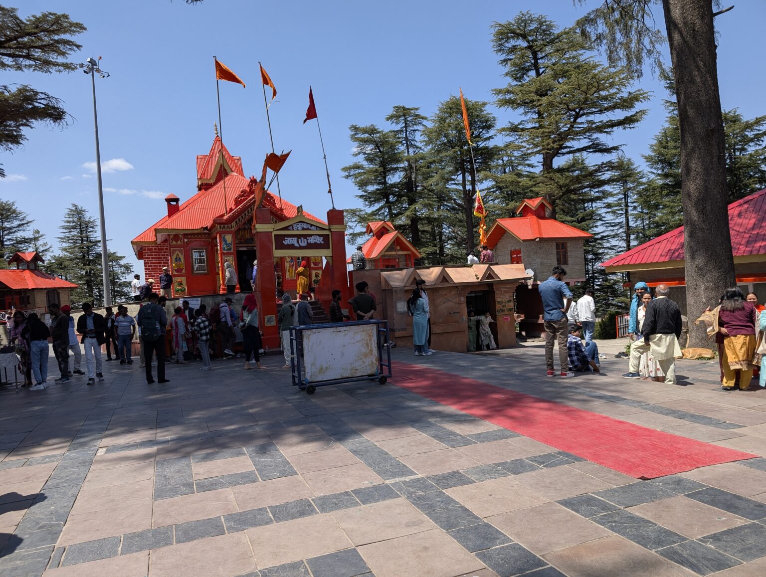 PXL_20250404_070338777