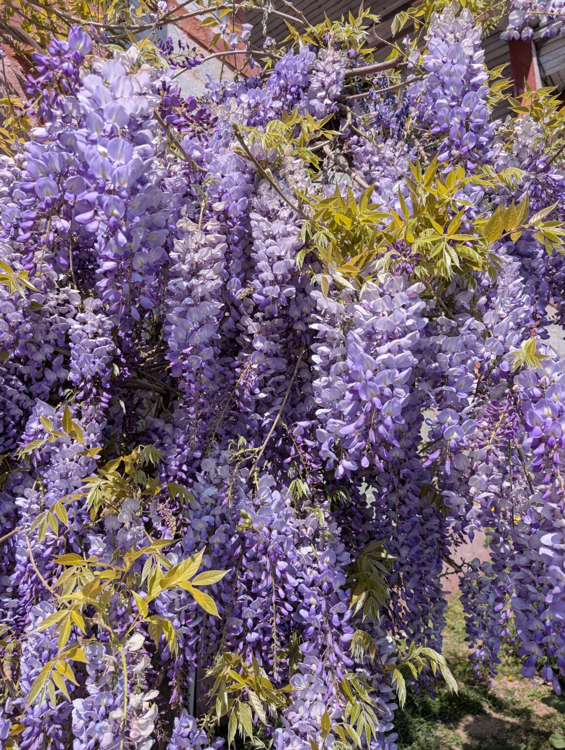 PXL_20250406_083045867