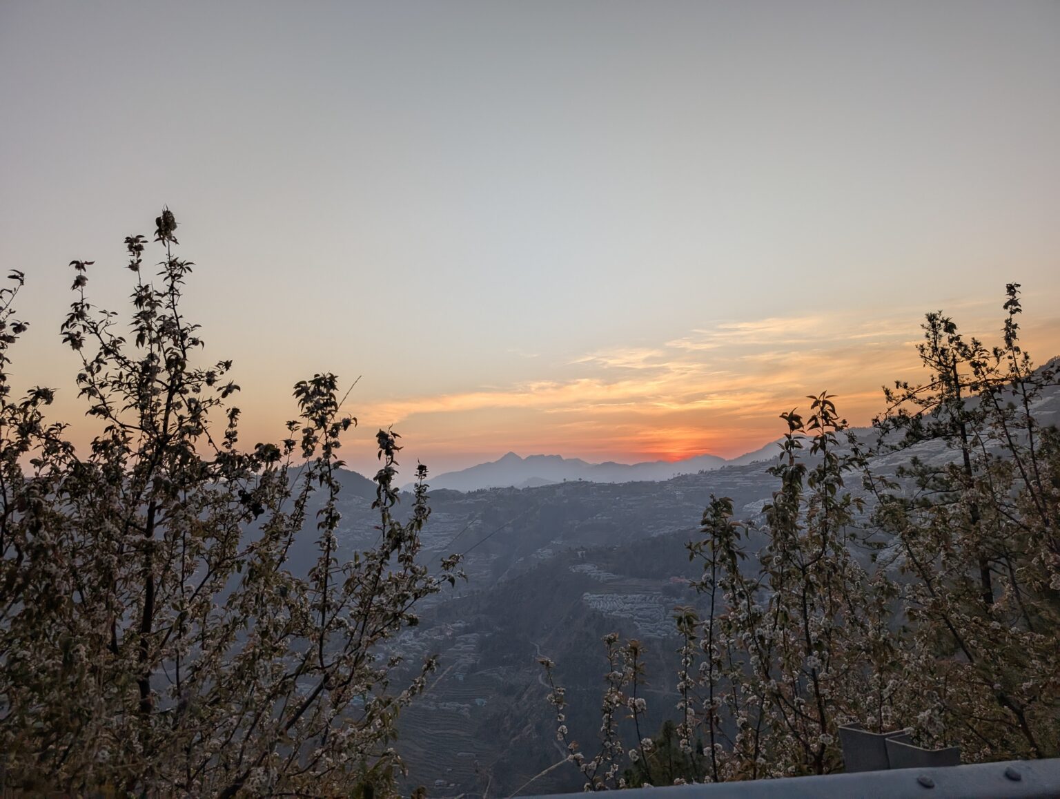 PXL_20250405_131020148.MP (1)