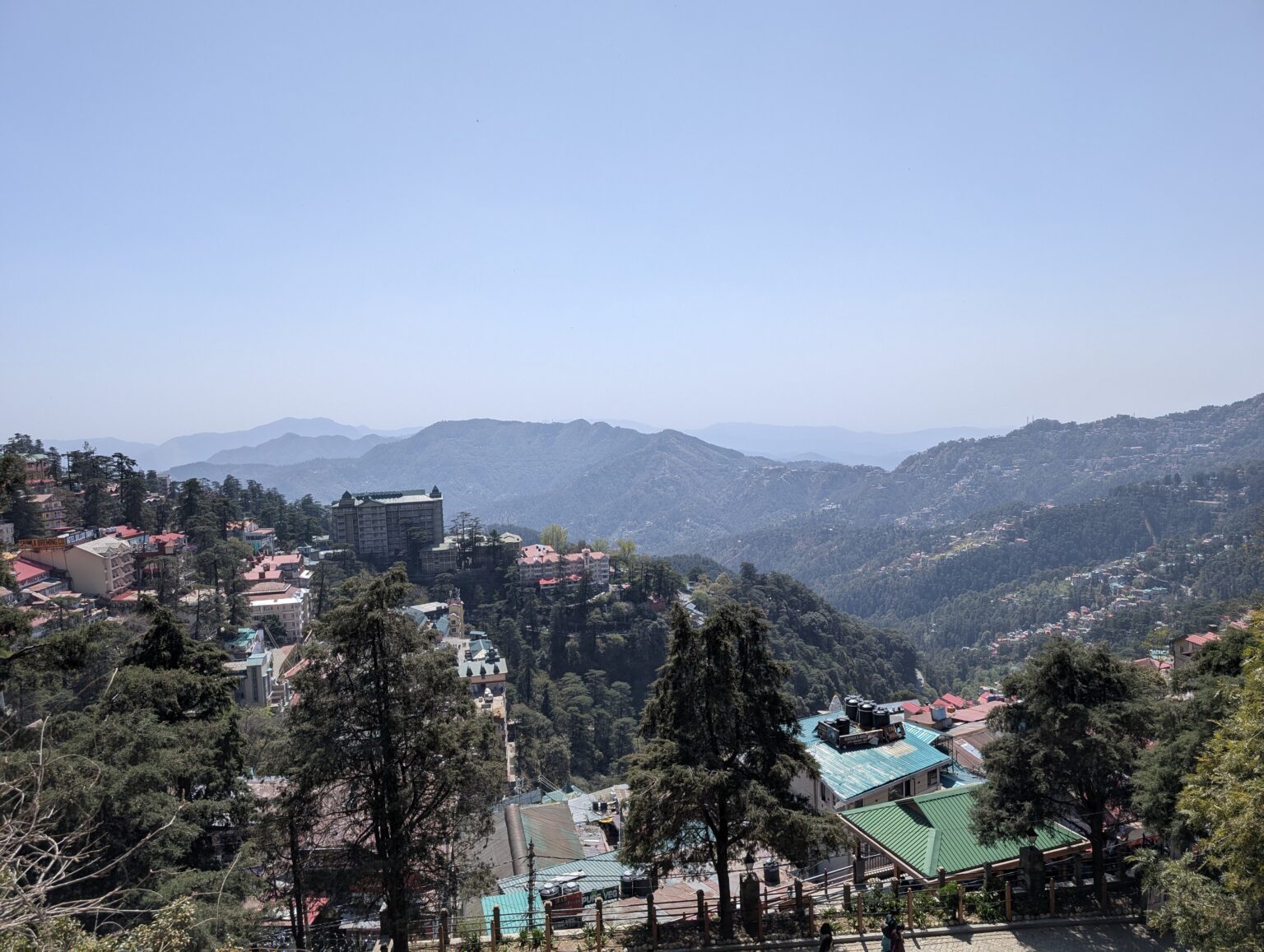 PXL_20250404_082041881 (1)