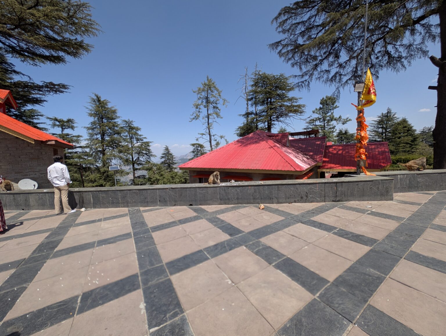 PXL_20250404_071056636