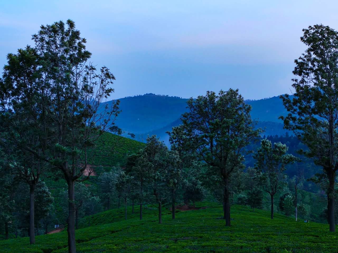 FB_IMG_1527044928660