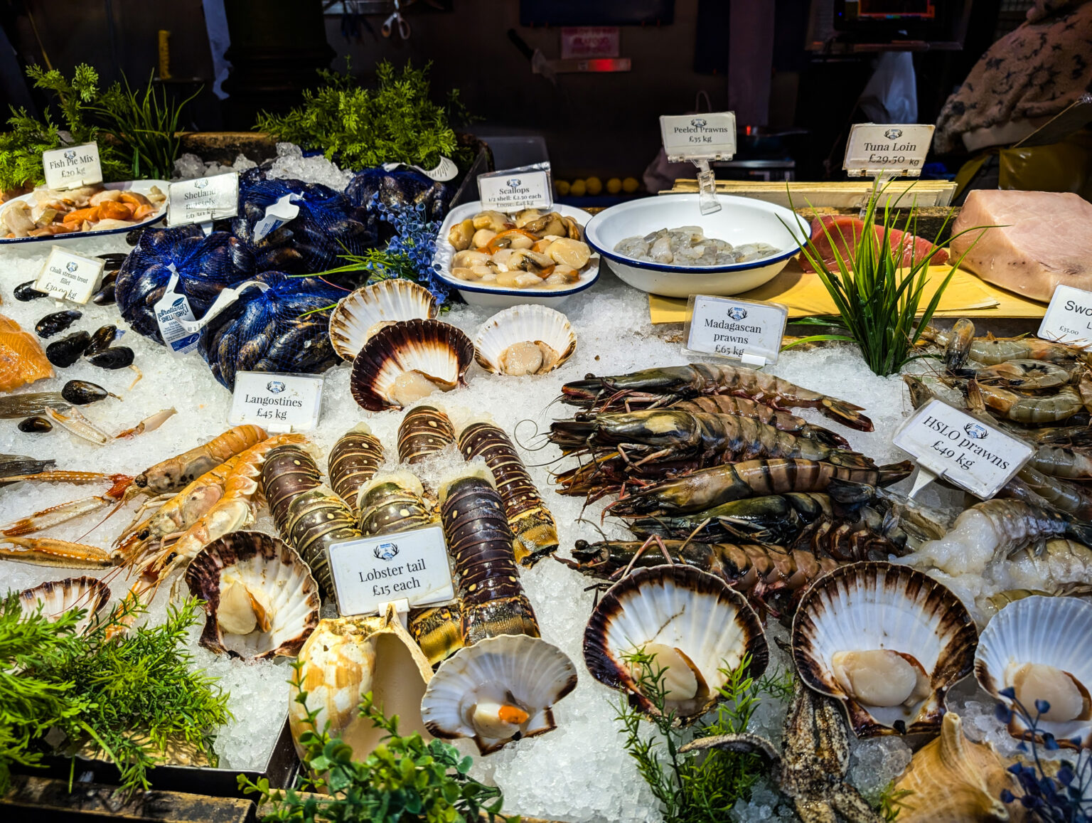 PXL_20250914_131245889.MP