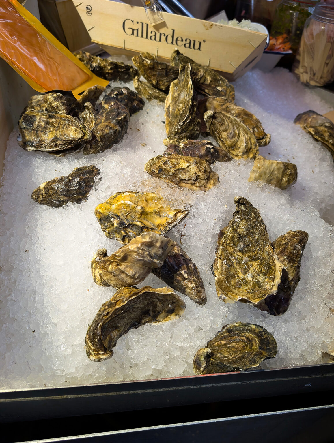 PXL_20250914_131259959