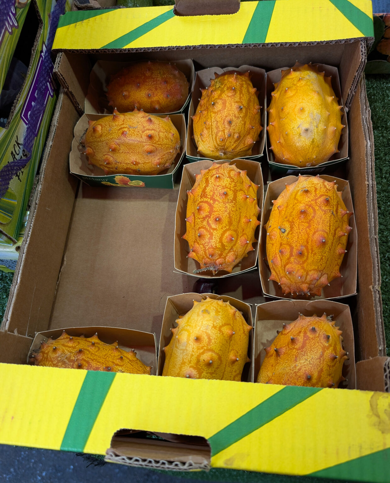 PXL_20250914_141705037