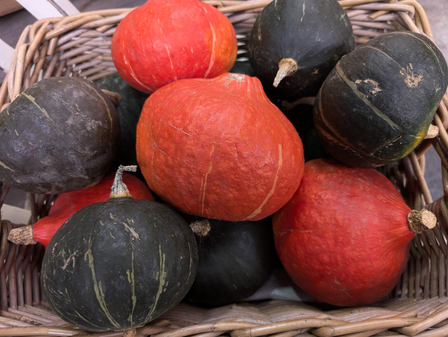 PXL_20250914_142108197